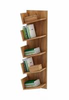 Полка книжная Чайка-3