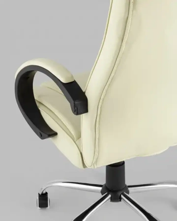 Кресло для руководителя Topchairs Ultra