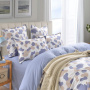 Таддео КПБ сатин 2х